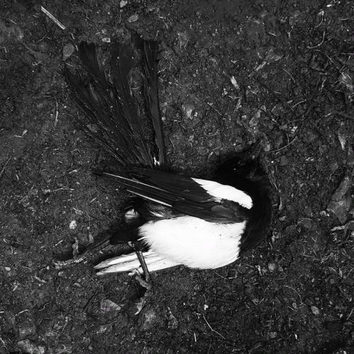 La Mer : Kingdom Come